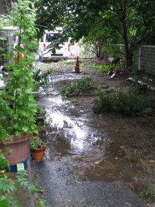 雨が・・・