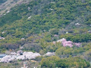 香色苑から望む屋島