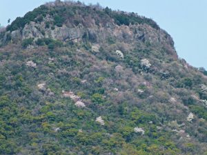 香色苑から望む屋島